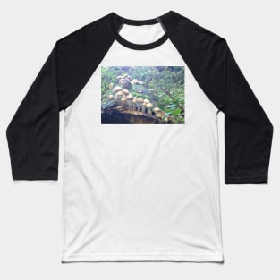 Fairy Garden Village - Toadstools, Mushrooms and the joy of Nature Baseball T-Shirt